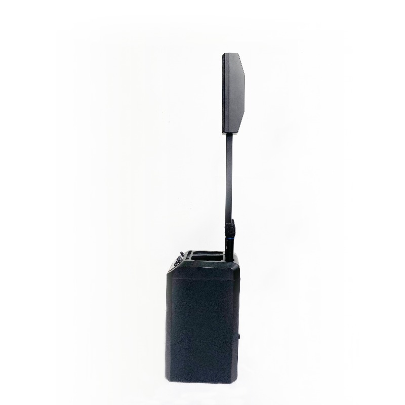 Outdoor Tower Speakers Profess - огляд і ціна Outdoor Power Line