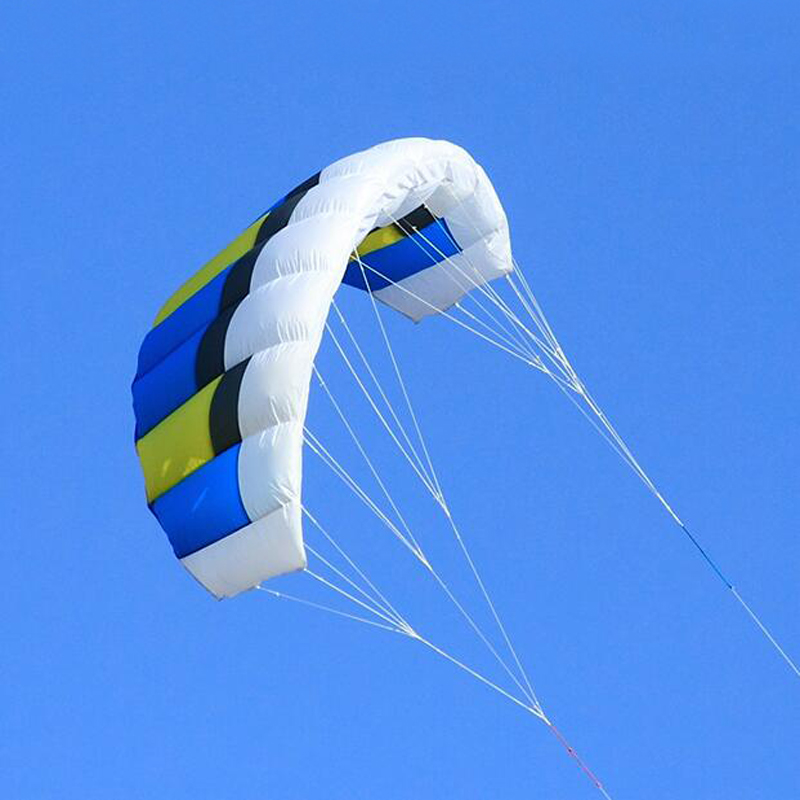 Dual Line Stunt Kites for Adul - огляд і ціна Outdoor Power Line